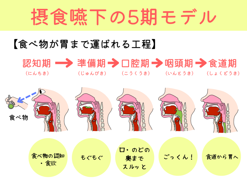 画像に alt 属性が指定されていません。ファイル名: 1_20240330_205009_0000-1024x769.png